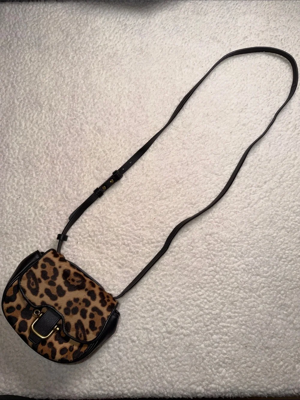 J. Crew Leopard Print Crossbody with Black Trim